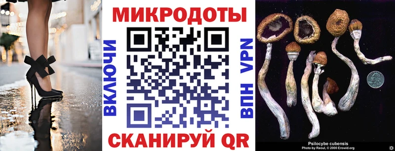 Галлюциногенные грибы Magic Shrooms  наркота  Петропавловск-Камчатский 